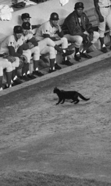 Exorcising the Cubs curse - and other baseball superstitions
